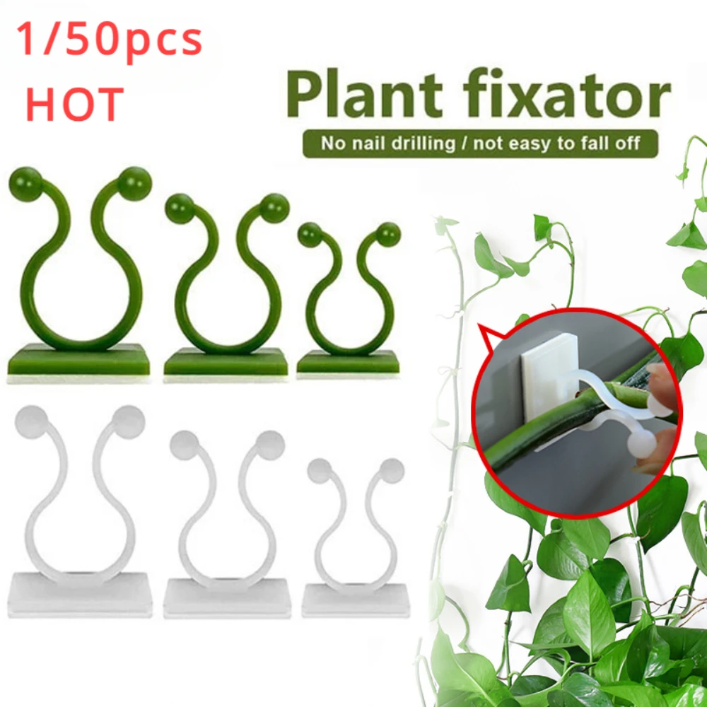 Plant Support Stake - 1/30/50 ชิ้นสําหรับอุปกรณ์สวนพืชสวนหม้อ & Planters ปีนกําแพงกลางแจ้ง Decors