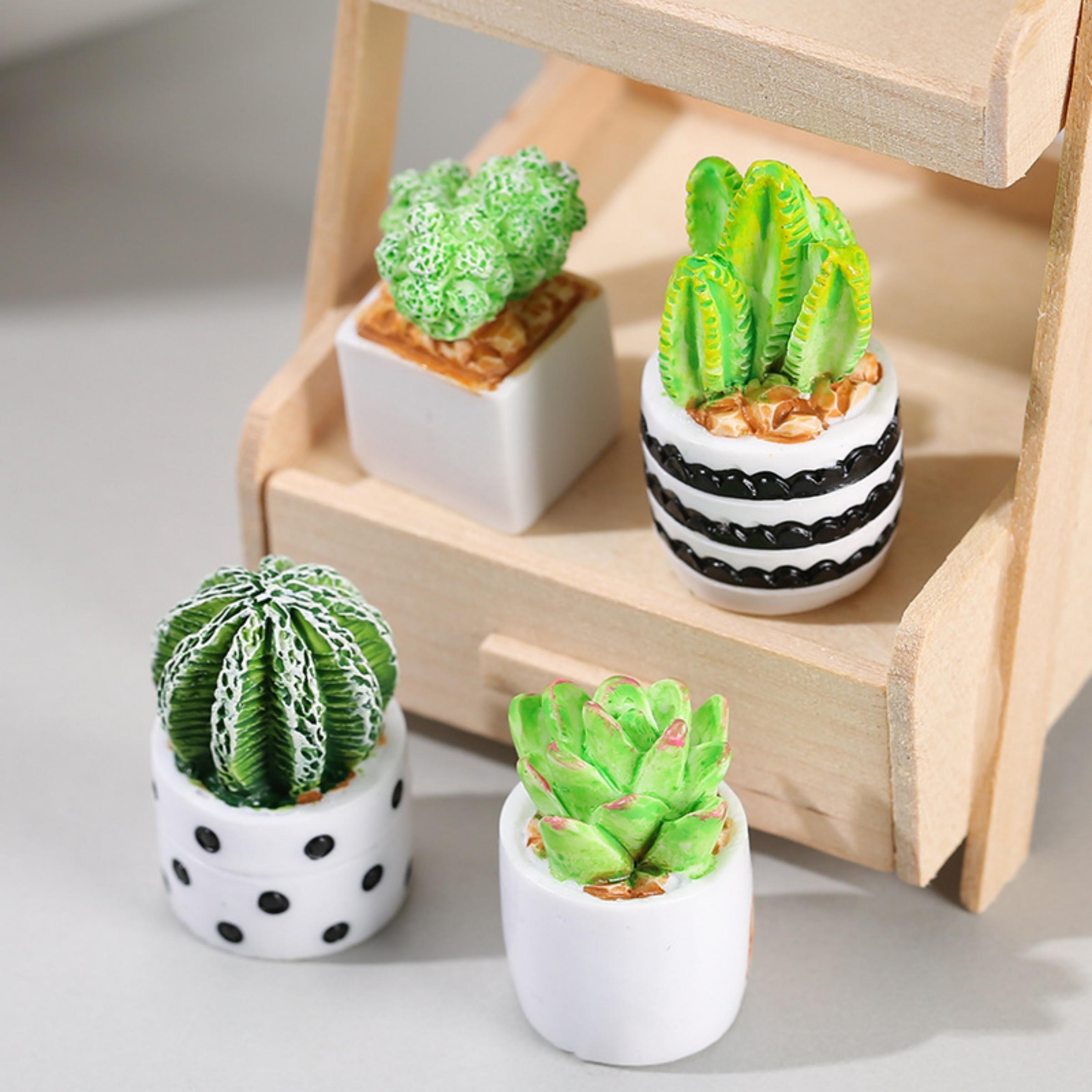 Succulent Set - ชุด 4 ชิ้นของต้นกระบองเพชรและไม้อวบน้ำในกระถาง, อุปกรณ์ตกแต่งสวนเทพนิยาย, ของตกแต่งไมโครแลนด์สเคป, งานประดิษฐ์ขนาดเล็ก