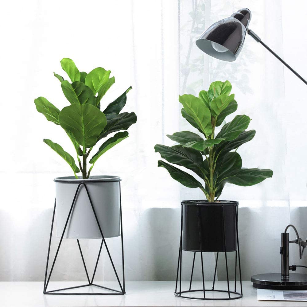 Fiddle Leaf Fig - AB33-2Pcs ประดิษฐ์ Fiddle Leaf Fig Tree