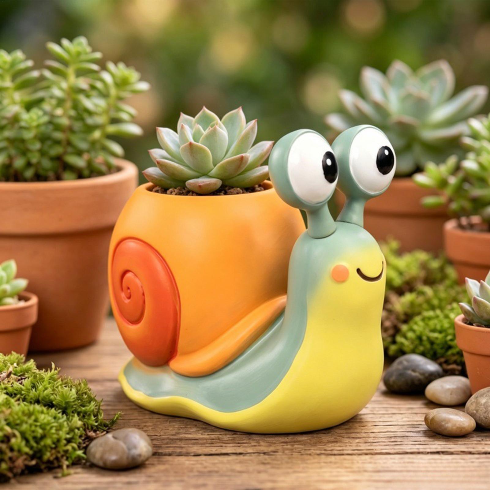 กระถางดอกไม้รูปหอยทาก กระถางดอ - Succulent Set บทวิจารณ์และราคา