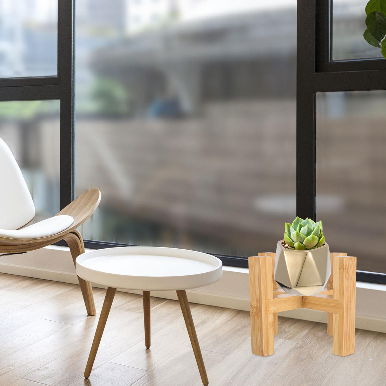ขาตั้งกระถางต้นไม้ไม้เนื้อแข็ง - Fiddle Leaf Fig บทวิจารณ์และราคา