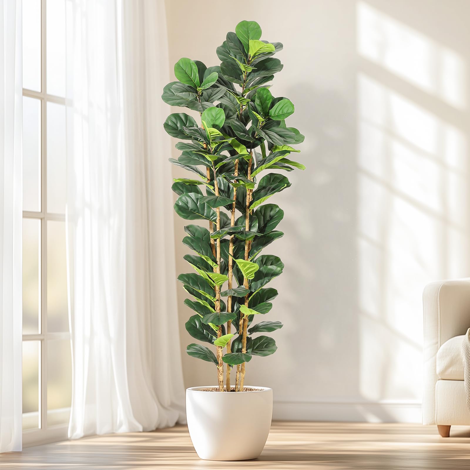 ต้นฟิกเลฟฟิลด์เทียม ขนาด 5/6/7 - Fiddle Leaf Fig บทวิจารณ์และราคา