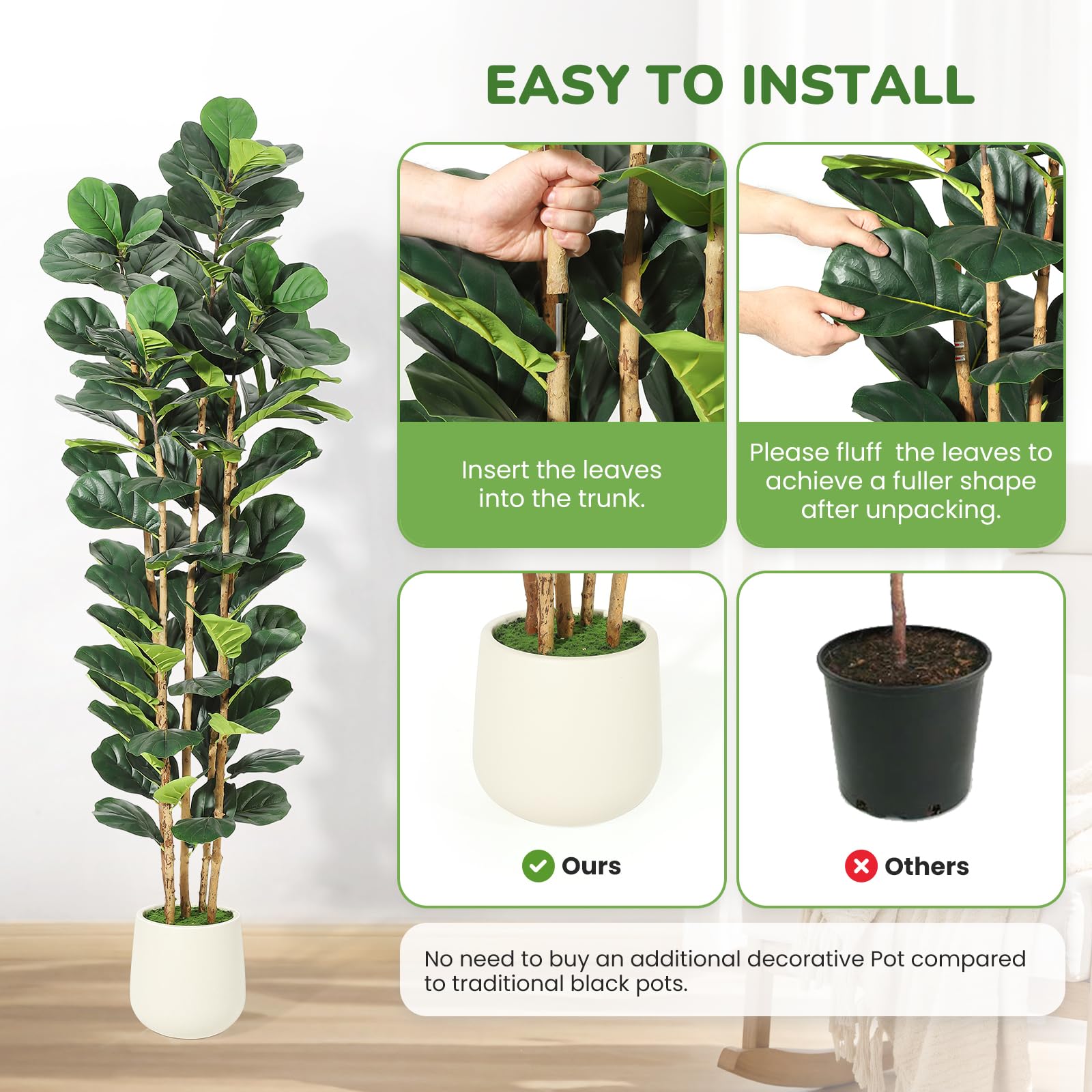 ต้นฟิกเลฟฟิลด์เทียม ขนาด 5/6/7 - Fiddle Leaf Fig บทวิจารณ์และราคา