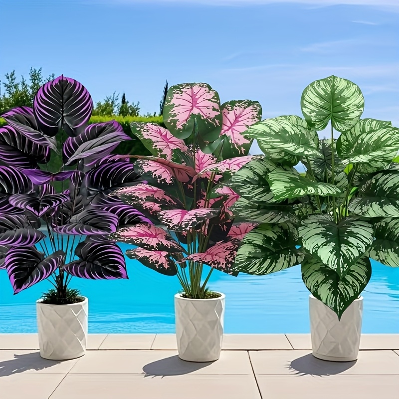 3 ชิ้น 60 เซนติเมตรขนาดใหญ่พืช - Snake Plant บทวิจารณ์และราคา