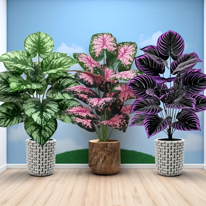 3 ชิ้น 60 เซนติเมตรขนาดใหญ่พืช - Snake Plant บทวิจารณ์และราคา