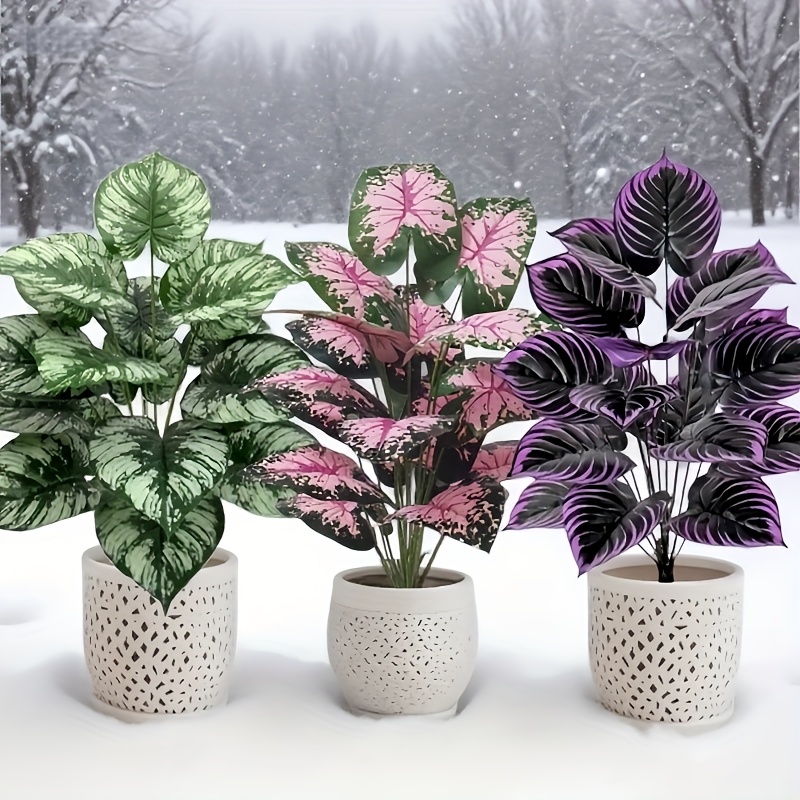 3 ชิ้น 60 เซนติเมตรขนาดใหญ่พืช - Snake Plant บทวิจารณ์และราคา
