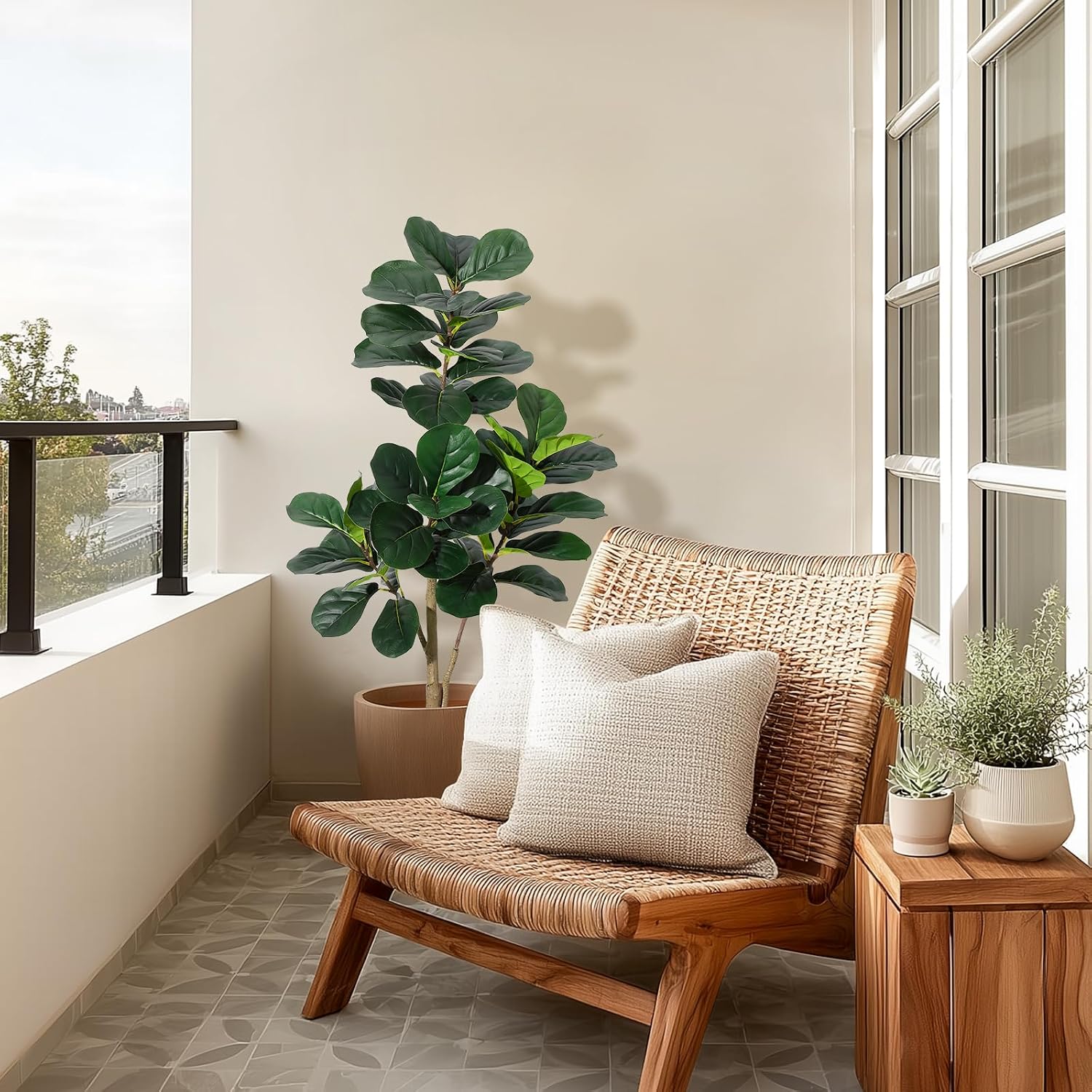 ต้นไทรใบฟิดเดิล ขนาด 4 ฟุต แบบ - Fiddle Leaf Fig บทวิจารณ์และราคา