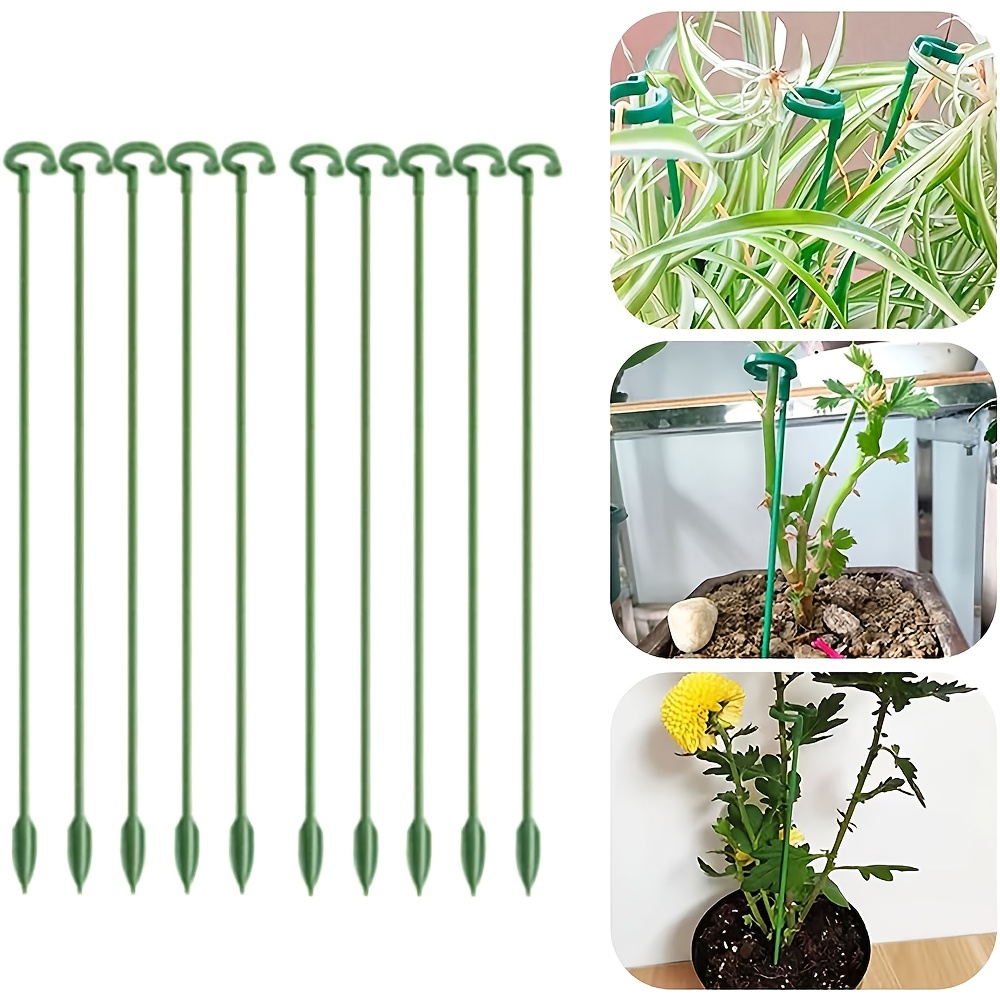 ขาตั้งพยุงต้นไม้ 5/10 ชิ้น สำห - Plant Support Stake บทวิจารณ์และราคา