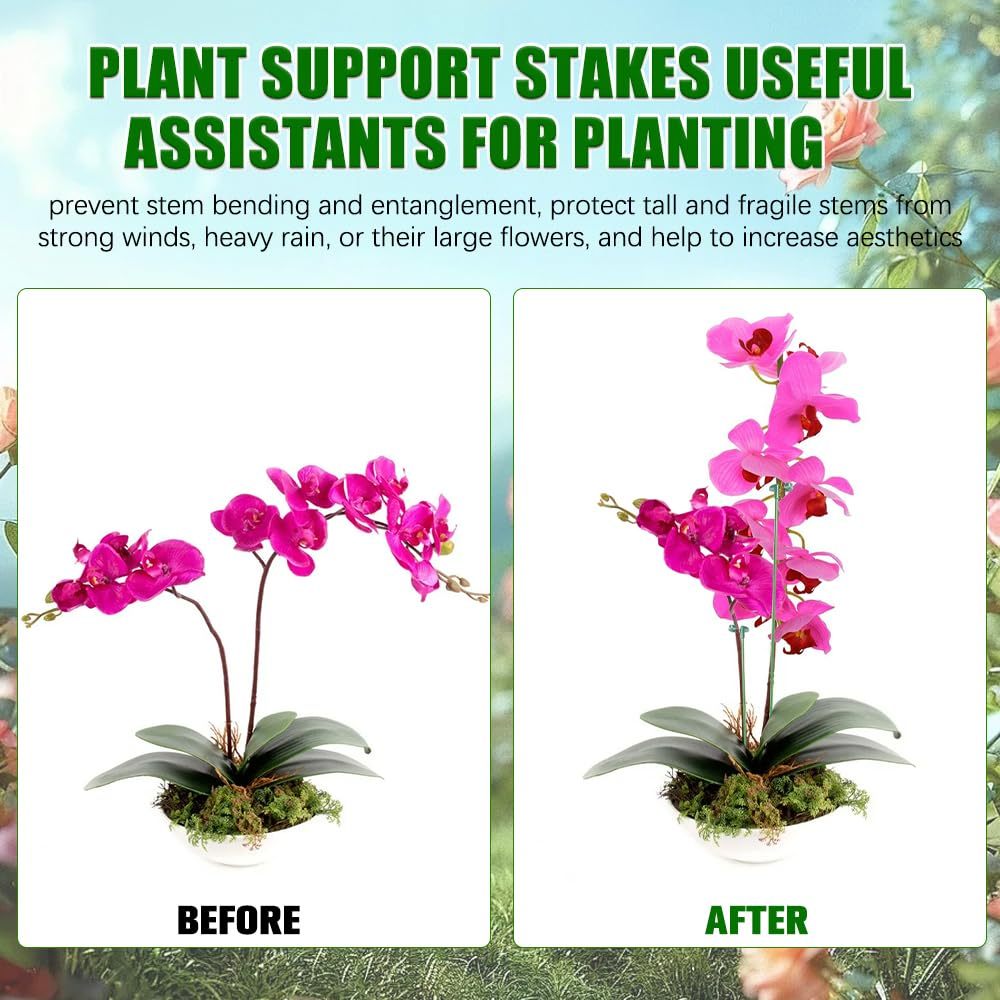 ขาตั้งพยุงต้นไม้ 5/10 ชิ้น สำห - Plant Support Stake บทวิจารณ์และราคา