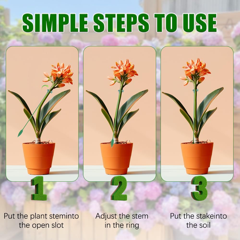 ขาตั้งพยุงต้นไม้ 5/10 ชิ้น สำห - Plant Support Stake บทวิจารณ์และราคา