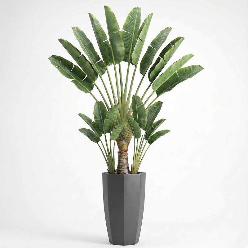 ต้นไทรใบพลาสติกจำลองคุณภาพสูง  - Fiddle Leaf Fig บทวิจารณ์และราคา