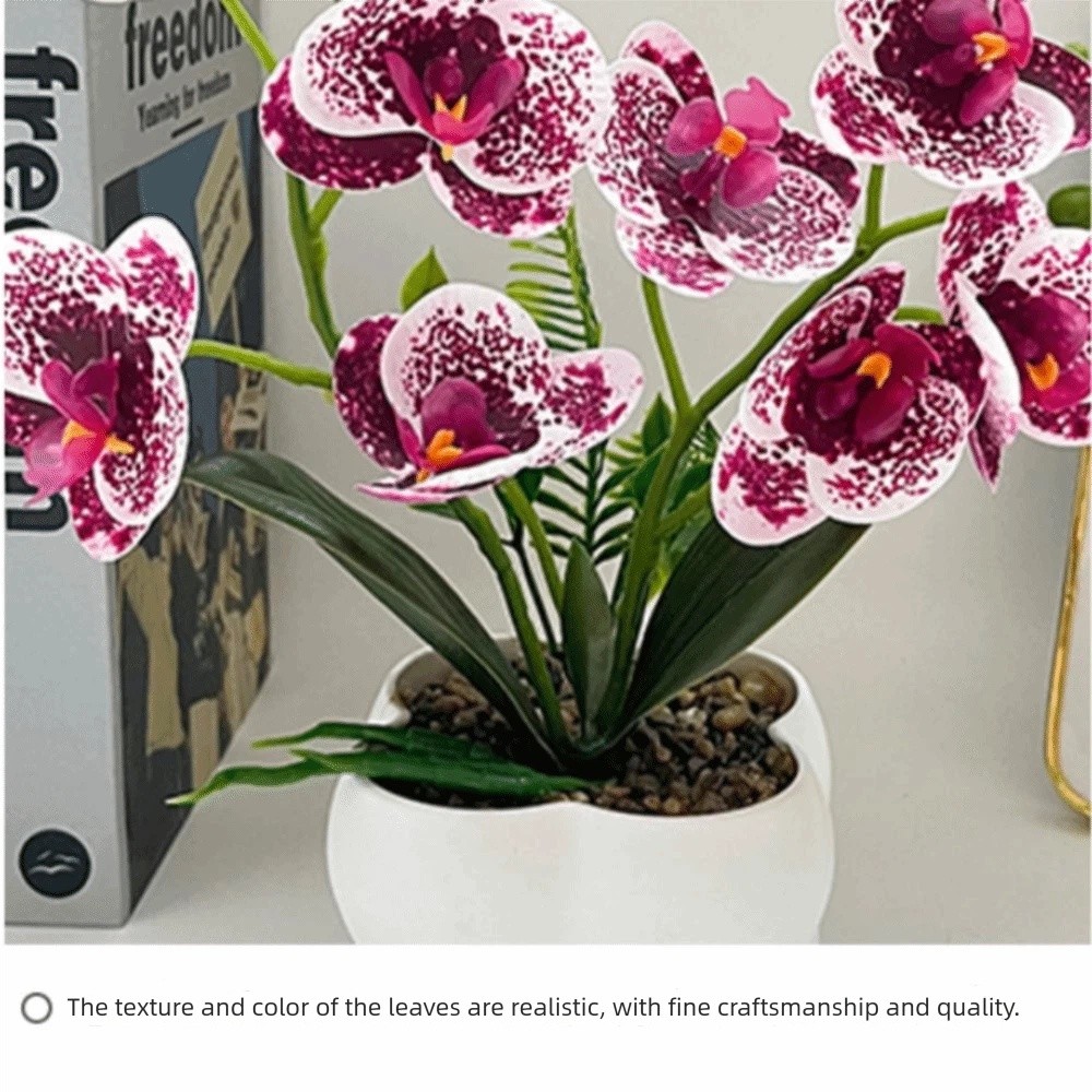 กล้วยไม้ผีเสื้อจำลองแบบหลายดอก - Fiddle Leaf Fig บทวิจารณ์และราคา
