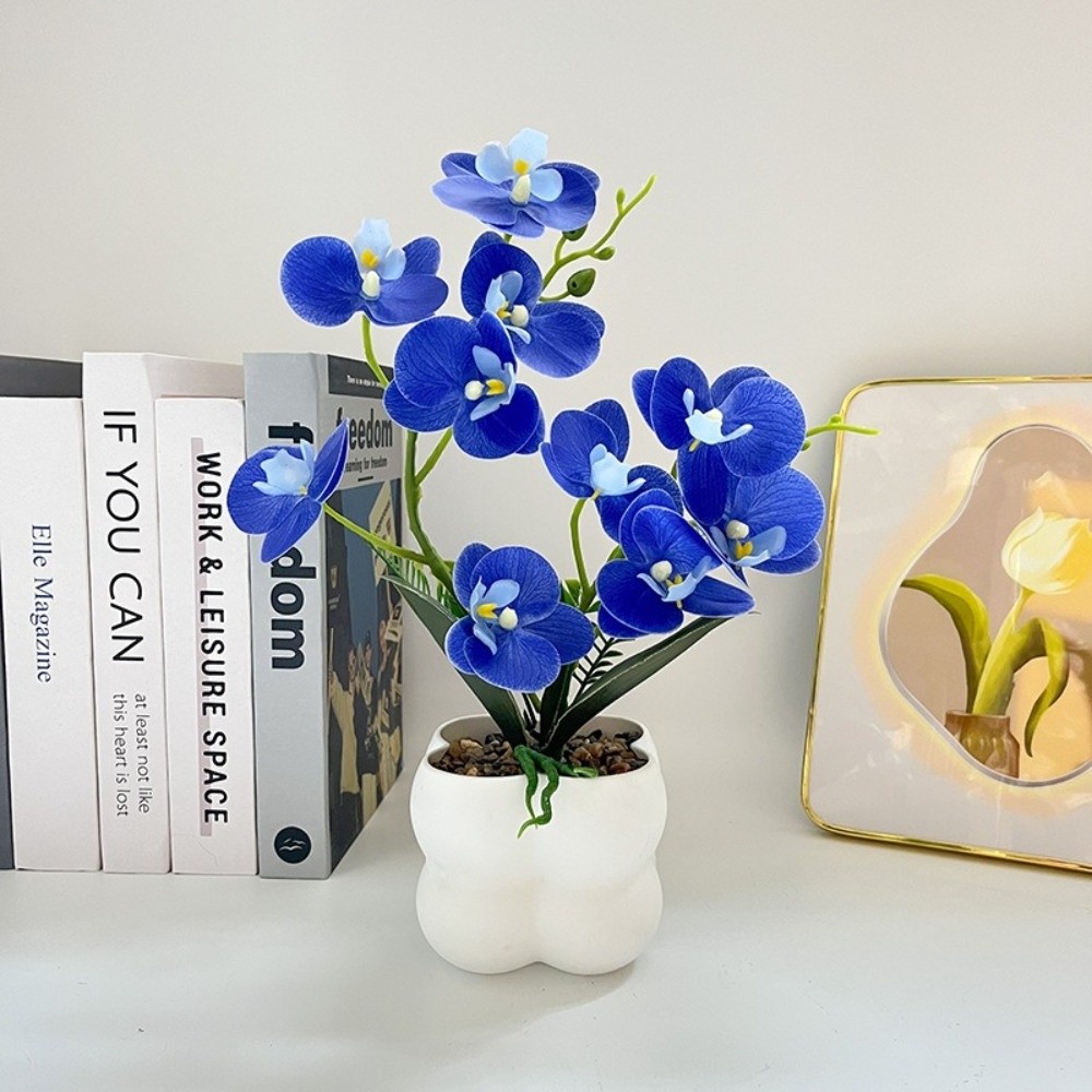 กล้วยไม้ผีเสื้อจำลองแบบหลายดอก - Fiddle Leaf Fig บทวิจารณ์และราคา