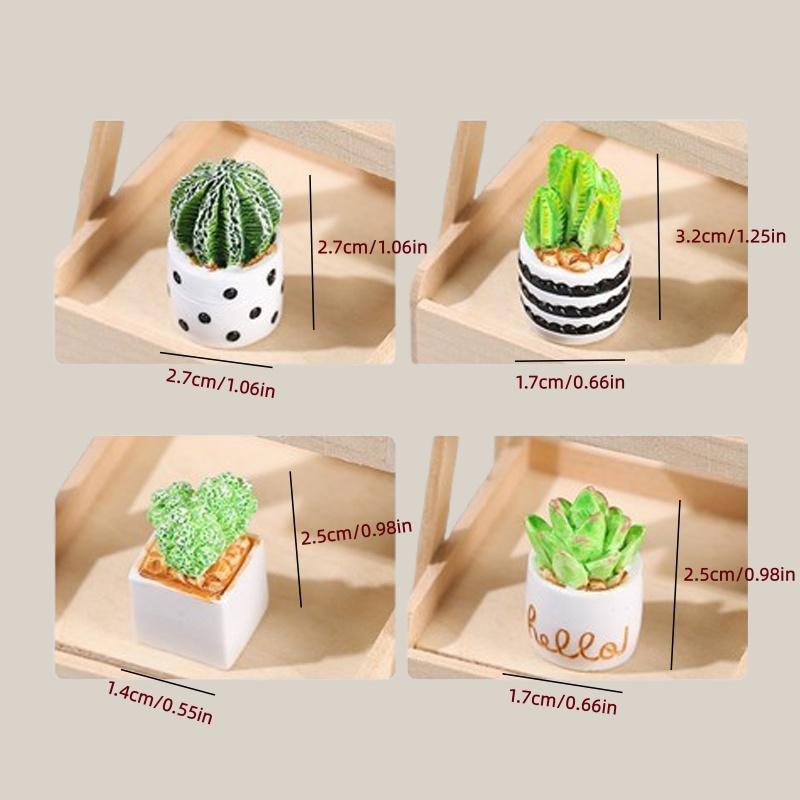 ชุด 4 ชิ้นของต้นกระบองเพชรและไ - Succulent Set บทวิจารณ์และราคา
