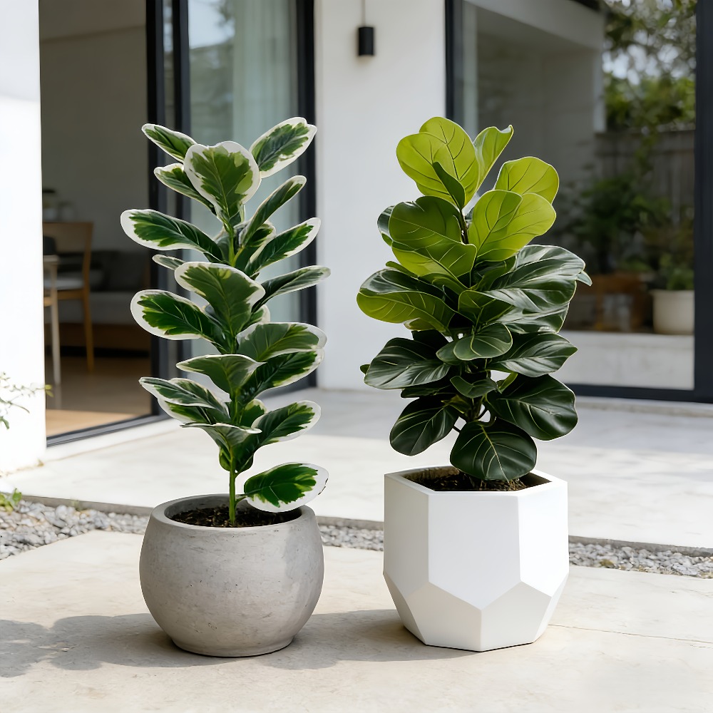 ต้นไทรประดิษฐ์สำหรับตกแต่งภายน - Fiddle Leaf Fig บทวิจารณ์และราคา