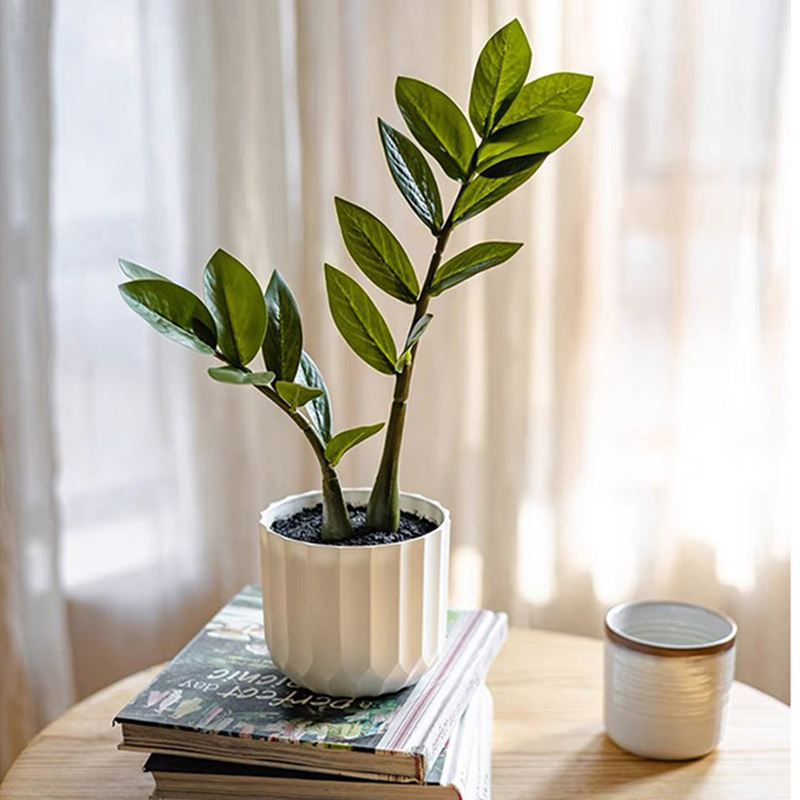 ใบไม้ปลอมใบไม้ปลอมใบไม้สีเขียว - Snake Plant บทวิจารณ์และราคา