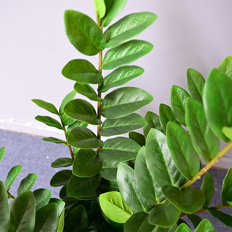 ใบไม้ปลอมใบไม้ปลอมใบไม้สีเขียว - Snake Plant บทวิจารณ์และราคา