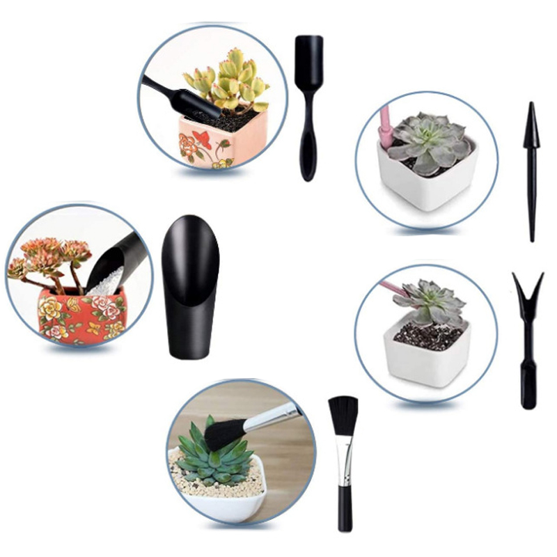 MINI สวนชุดเครื่องมือป้ายพลาสต - Succulent Set บทวิจารณ์และราคา